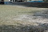 DSC_0114_thumb.jpg