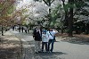 DSC_0207_thumb.jpg