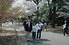 DSC_0209_thumb.jpg
