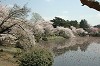 DSC_0210_thumb.jpg