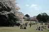 DSC_0215_thumb.jpg