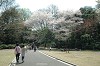 DSC_0216_thumb.jpg