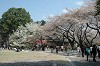 DSC_0218_thumb.jpg