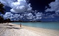 File0445_thumb.jpg
