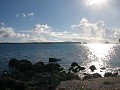 DSCN8366_thumb.jpg