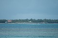 DSC_0135_thumb.jpg