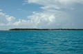 DSC_0151_thumb.jpg