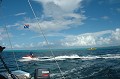 DSC_0160_thumb.jpg