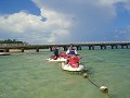 DSC03347_thumb.jpg