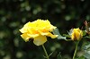 DSC_0016_thumb.jpg
