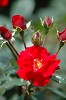 DSC_0021_thumb.jpg