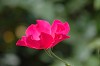 DSC_0060_thumb.jpg