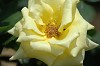 DSC_0141_thumb.jpg