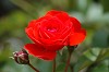 DSC_0153_thumb.jpg