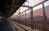 File0364_thumb.jpg